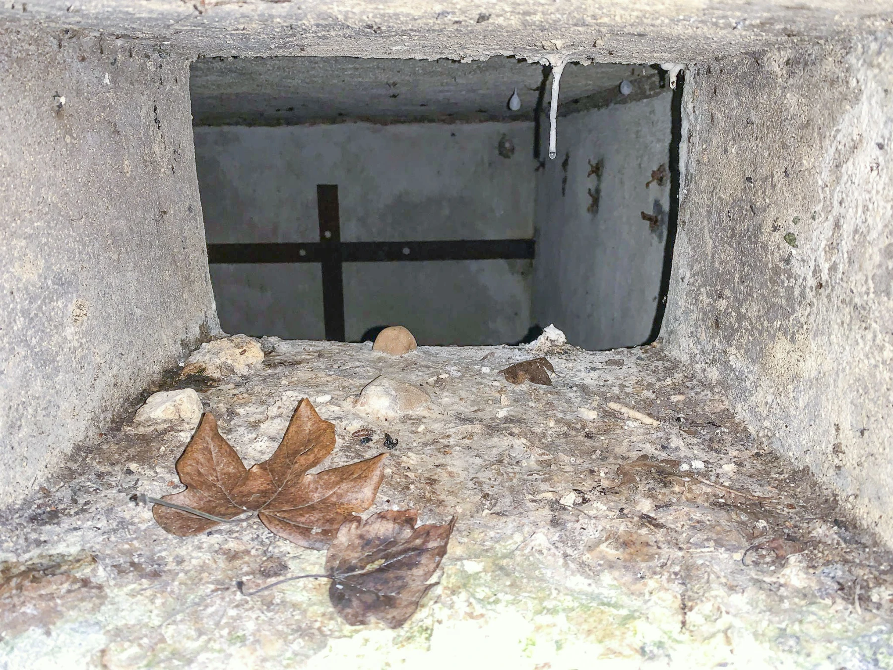 Ligne Maginot - 3LBIS - (Chambre de coupure) - Guichet entre le couloir et la pièce
