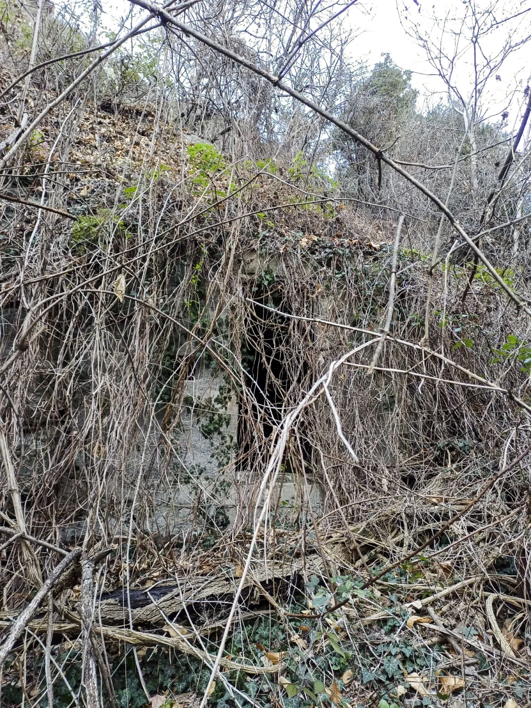 Ligne Maginot - VALABRES - (Abri) - Abri et son créneau, à proximité du blockhaus