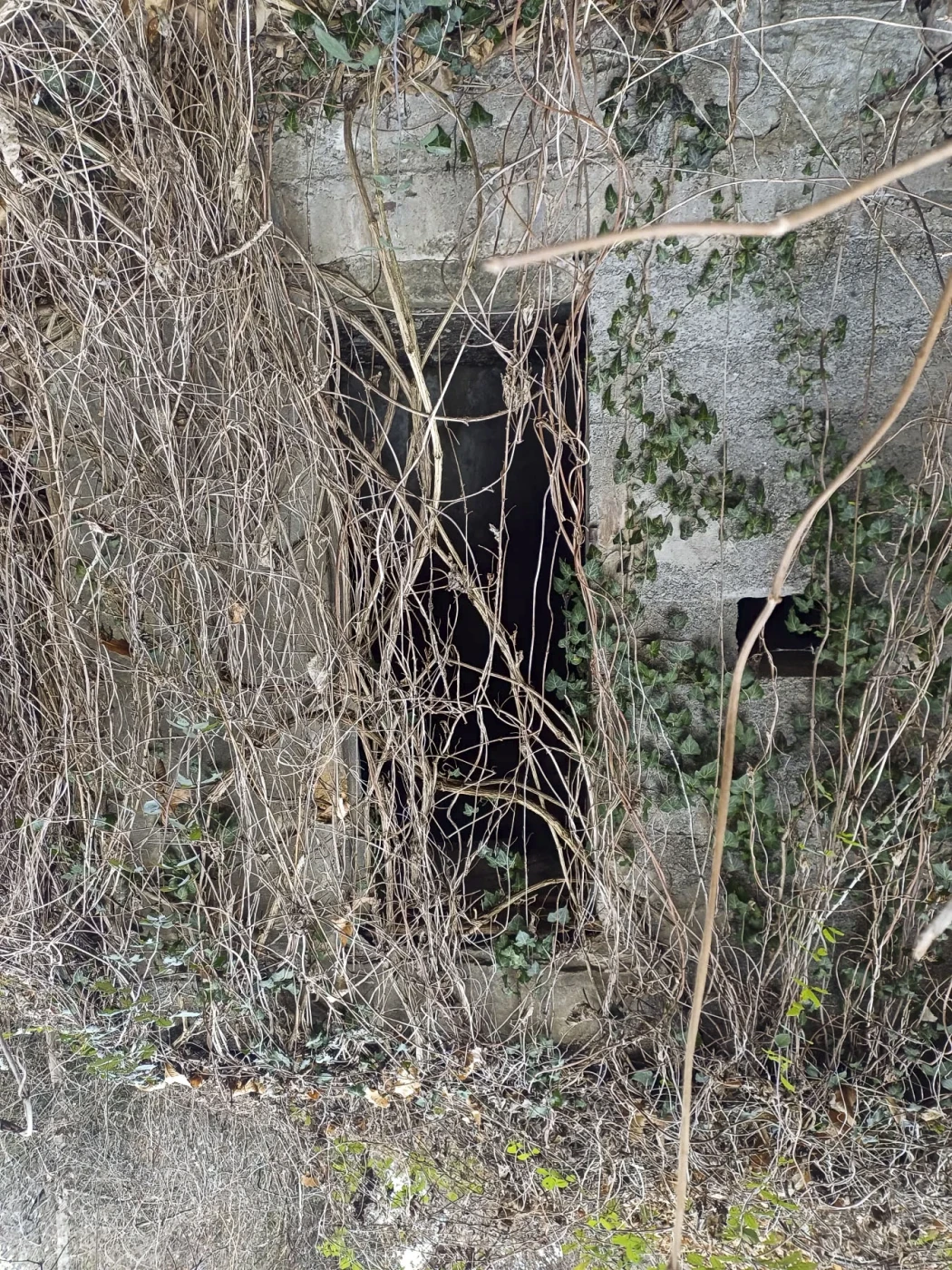 Ligne Maginot - VALABRES - (Blockhaus pour arme infanterie) - Abri et son créneau, à proximité du blockhaus