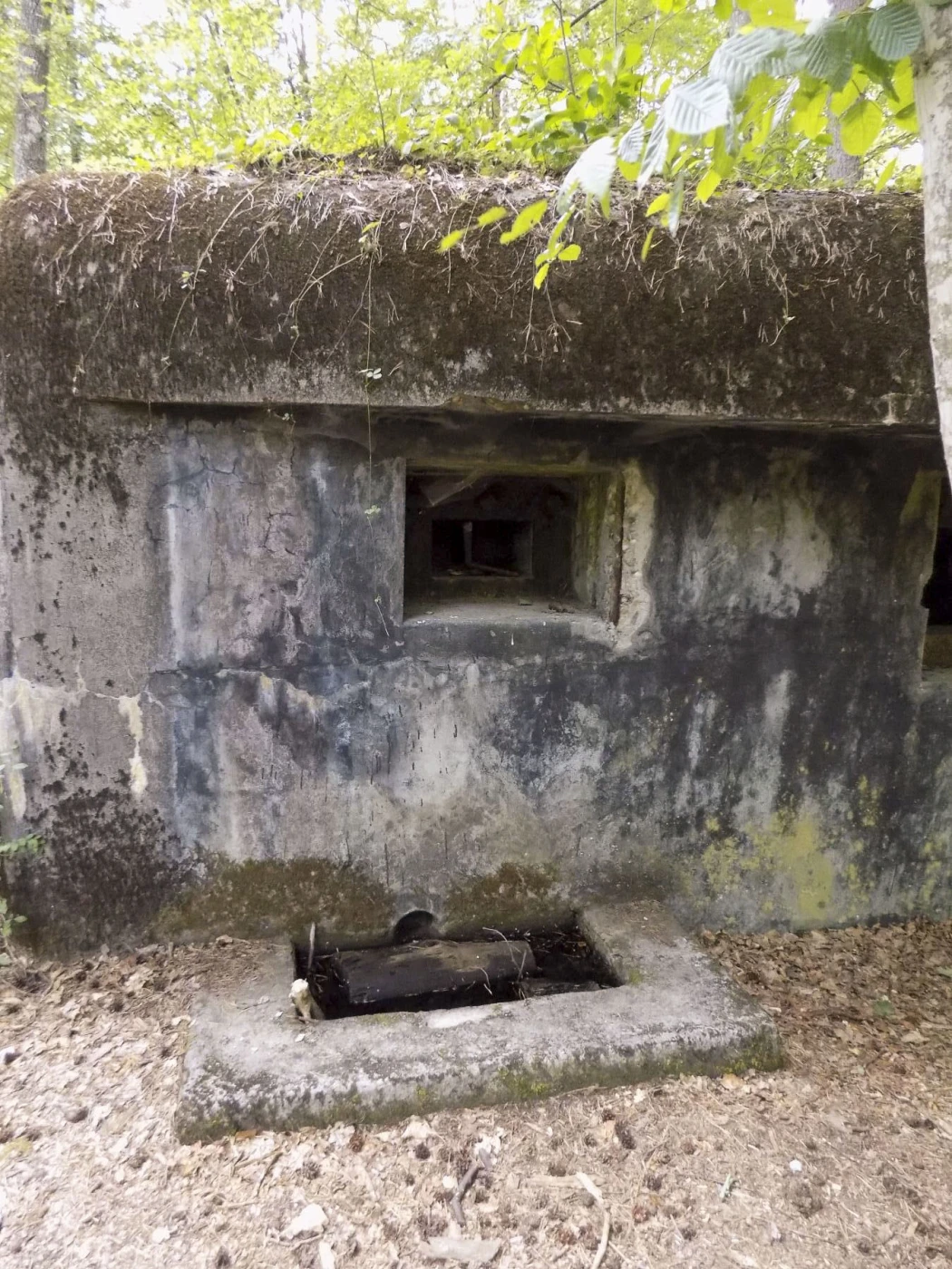 Ligne Maginot - HANAU 1 - (Blockhaus pour canon) - Créneau de tir de la mitrailleuse et sa fosse pour les étuis