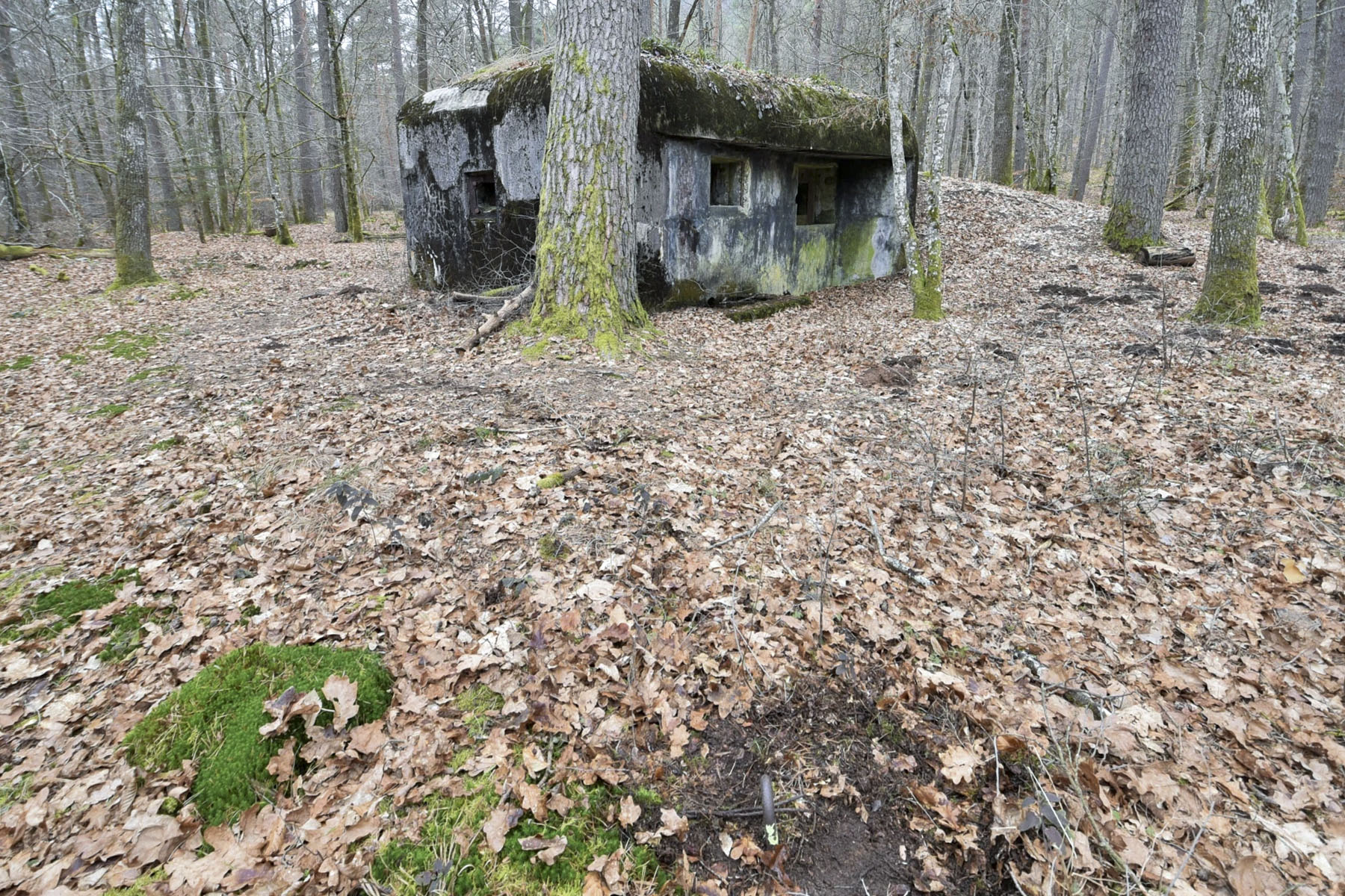 Ligne Maginot - HANAU 1 - (Blockhaus pour canon) - Ancrage pour le filet de camouflage 