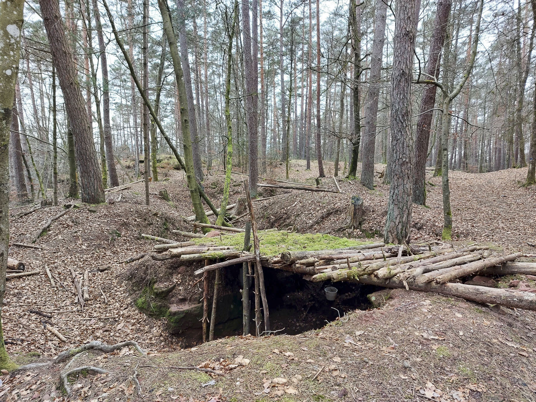 Ligne Maginot - BUCKELHANS - (PC) - Tranchée et abri