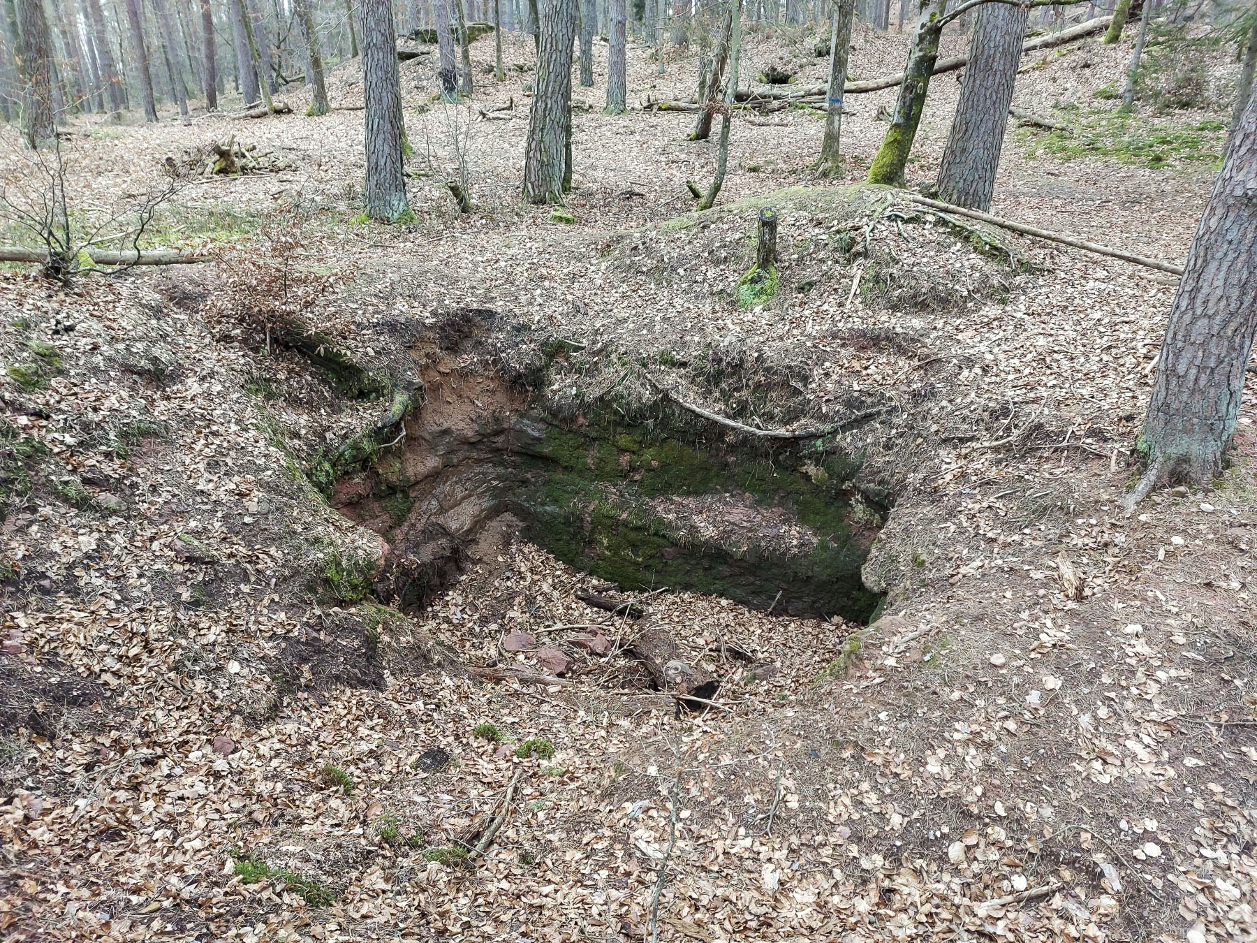 Ligne Maginot - BUCKELHANS - (PC) - Fouille d'un abri taillée dans le grès