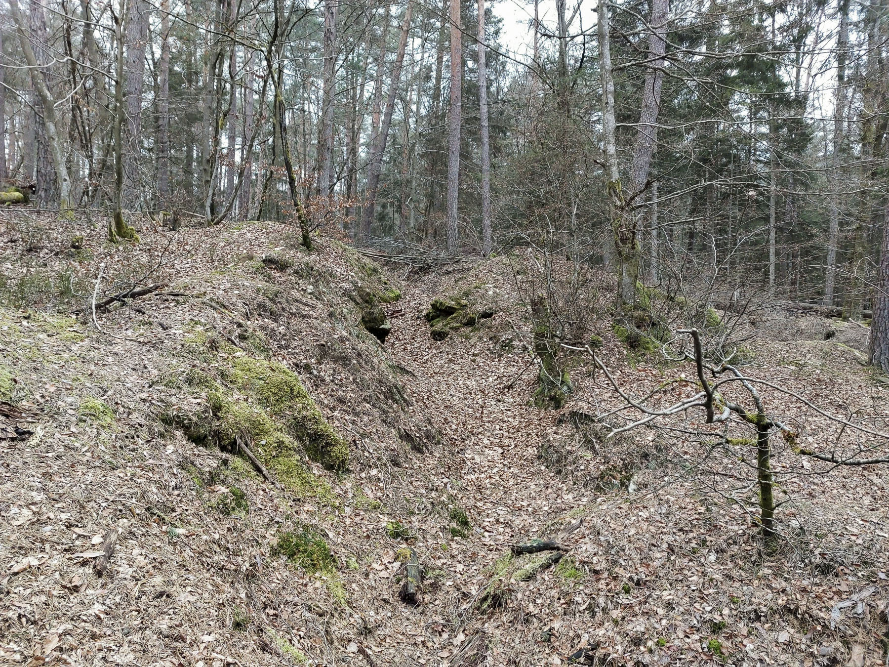 Ligne Maginot - BUCKELHANS - (PC) - Tranchée