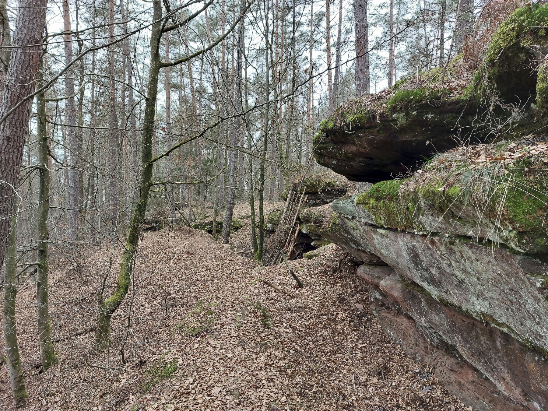 Ligne Maginot - BUCKELHANS - (PC) - Groupe d'abris sous roche