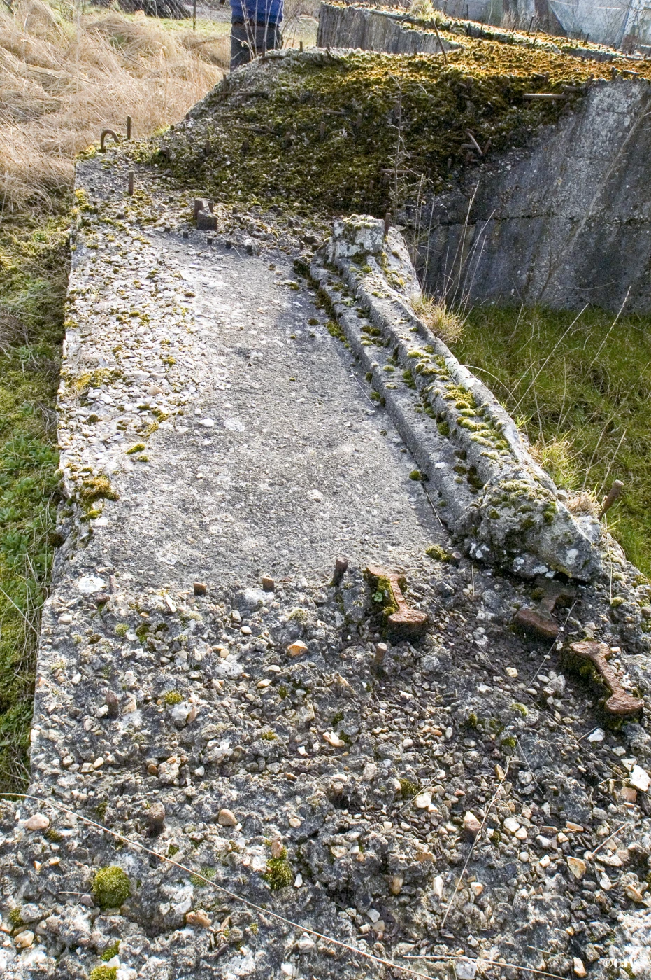 Ligne Maginot - BEF 65 - ROUTE DE FAUMONT OUEST - (Blockhaus pour canon) - 