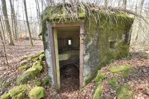 Ligne Maginot - FM20 - VOEGELSMATT 7 - (Blockhaus pour arme infanterie) - 