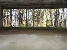 Ligne Maginot - LANGENBERG  BAS - (Observatoire d'artillerie) - La vision a travers les fentes d'observation
