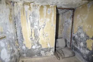 Ligne Maginot - D1 - (Chambre de coupure) - 