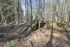 Ligne Maginot - ROTHENBOURG 1 - (Blockhaus pour canon) - 