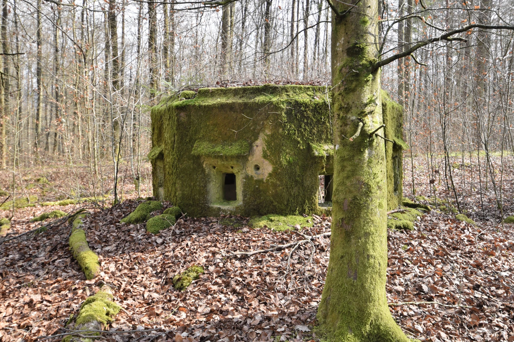 Ligne Maginot - FM20 - VOEGELSMATT 7 - (Blockhaus pour arme infanterie) - 