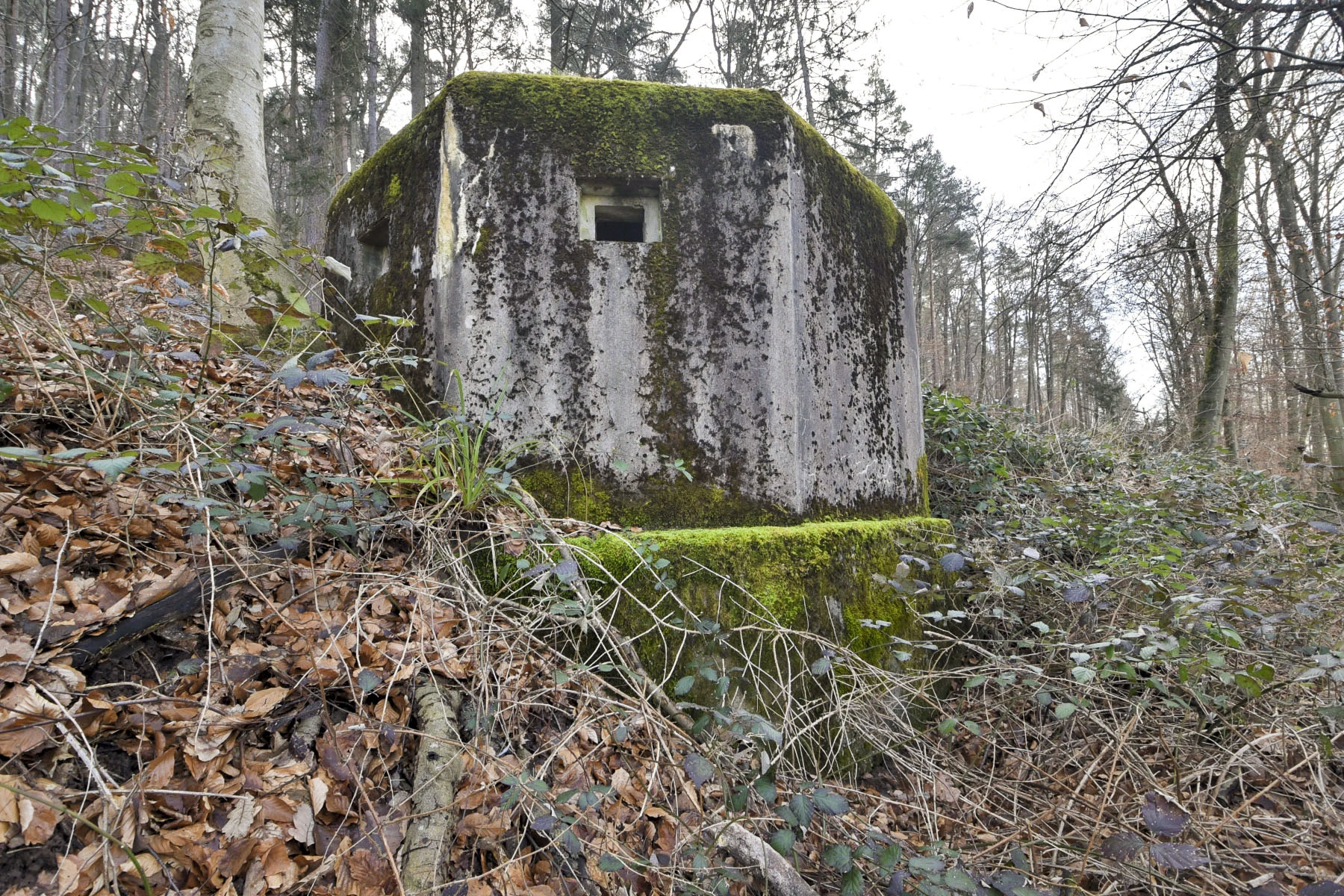 Ligne Maginot - GOERSDORF - (Blockhaus pour arme infanterie) - 