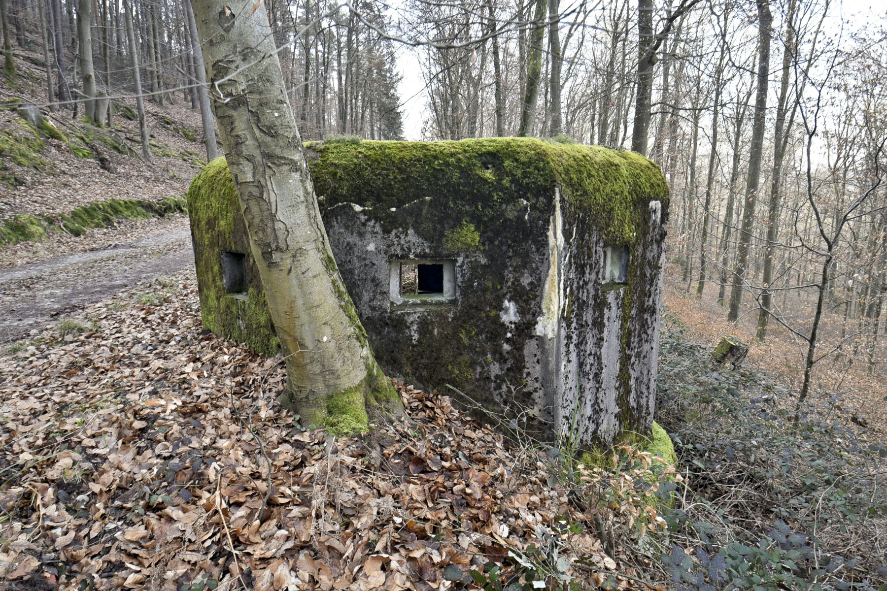 Ligne Maginot - GOERSDORF - (Blockhaus pour arme infanterie) - 