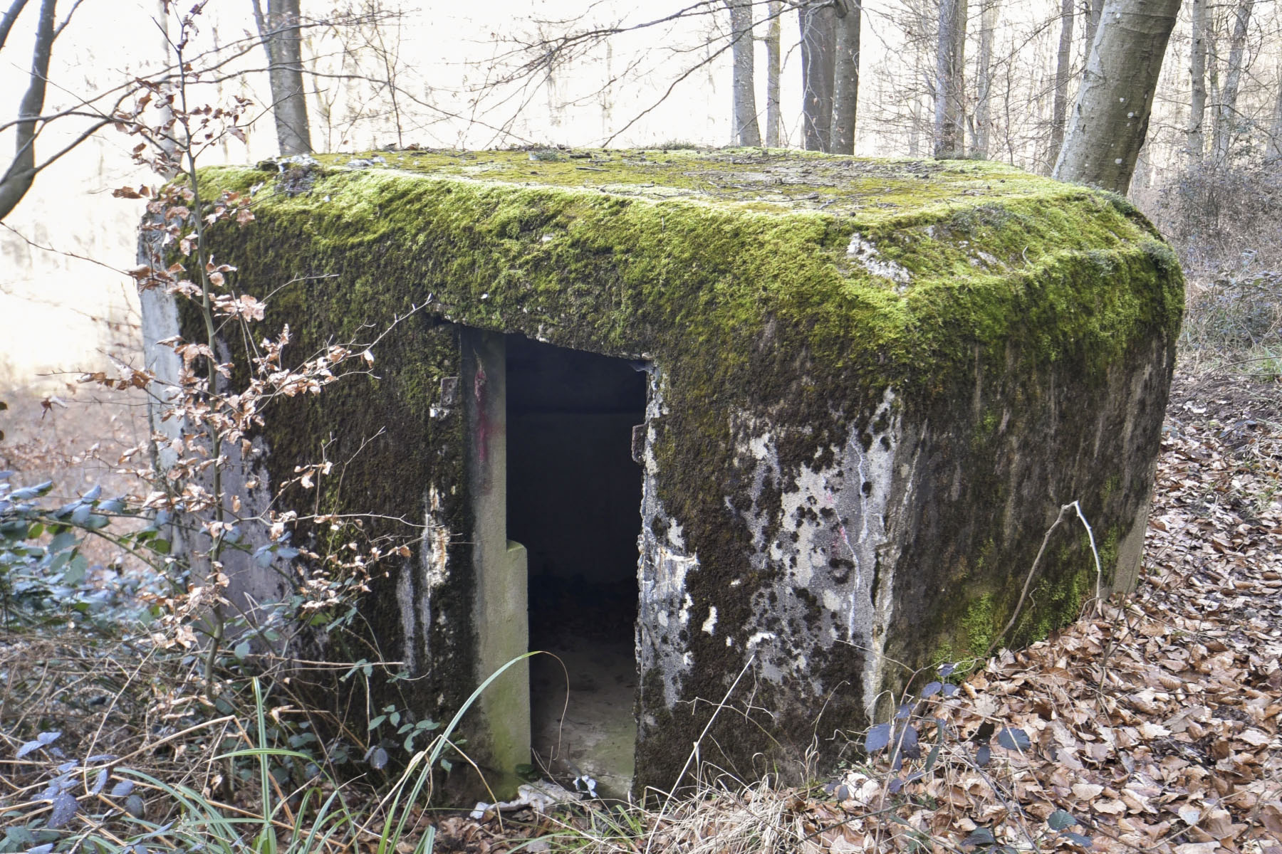 Ligne Maginot - GOERSDORF - (Blockhaus pour arme infanterie) - 