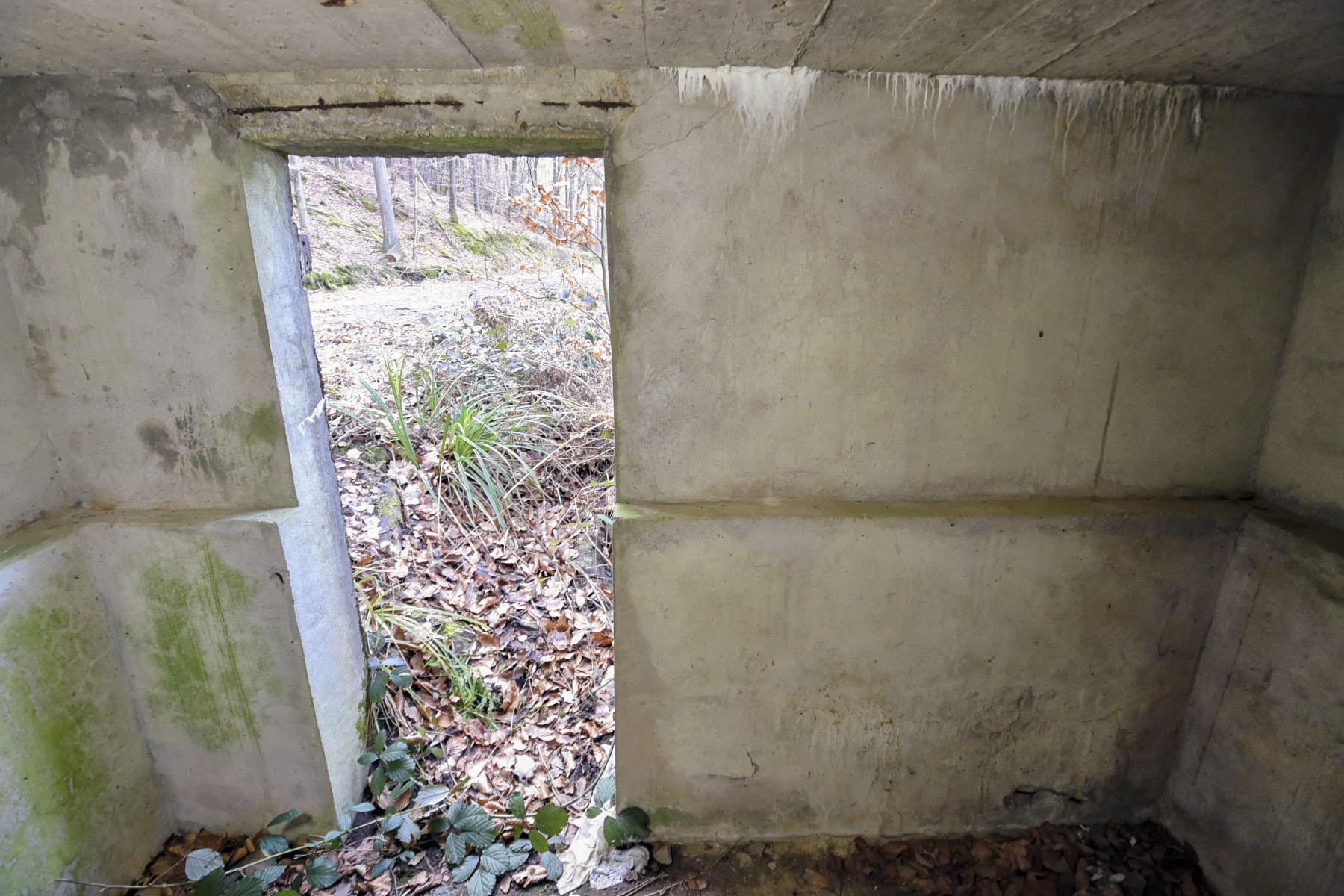 Ligne Maginot - GOERSDORF - (Blockhaus pour arme infanterie) - 