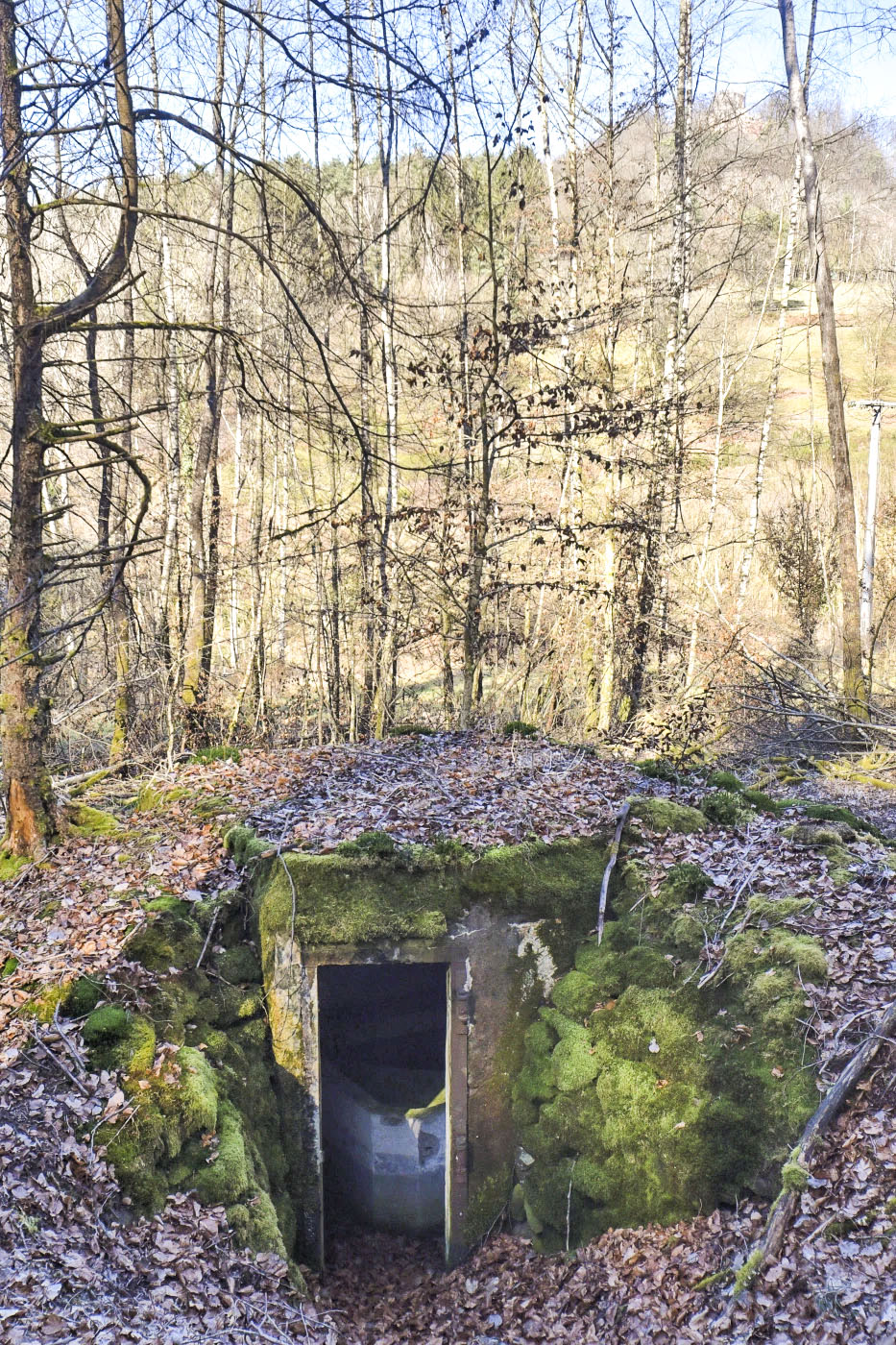 Ligne Maginot - M80 - FINSTERTHAL 4 - (Blockhaus pour arme infanterie) - 