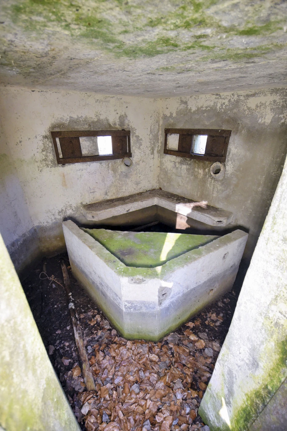 Ligne Maginot - M80 - FINSTERTHAL 4 - (Blockhaus pour arme infanterie) - 