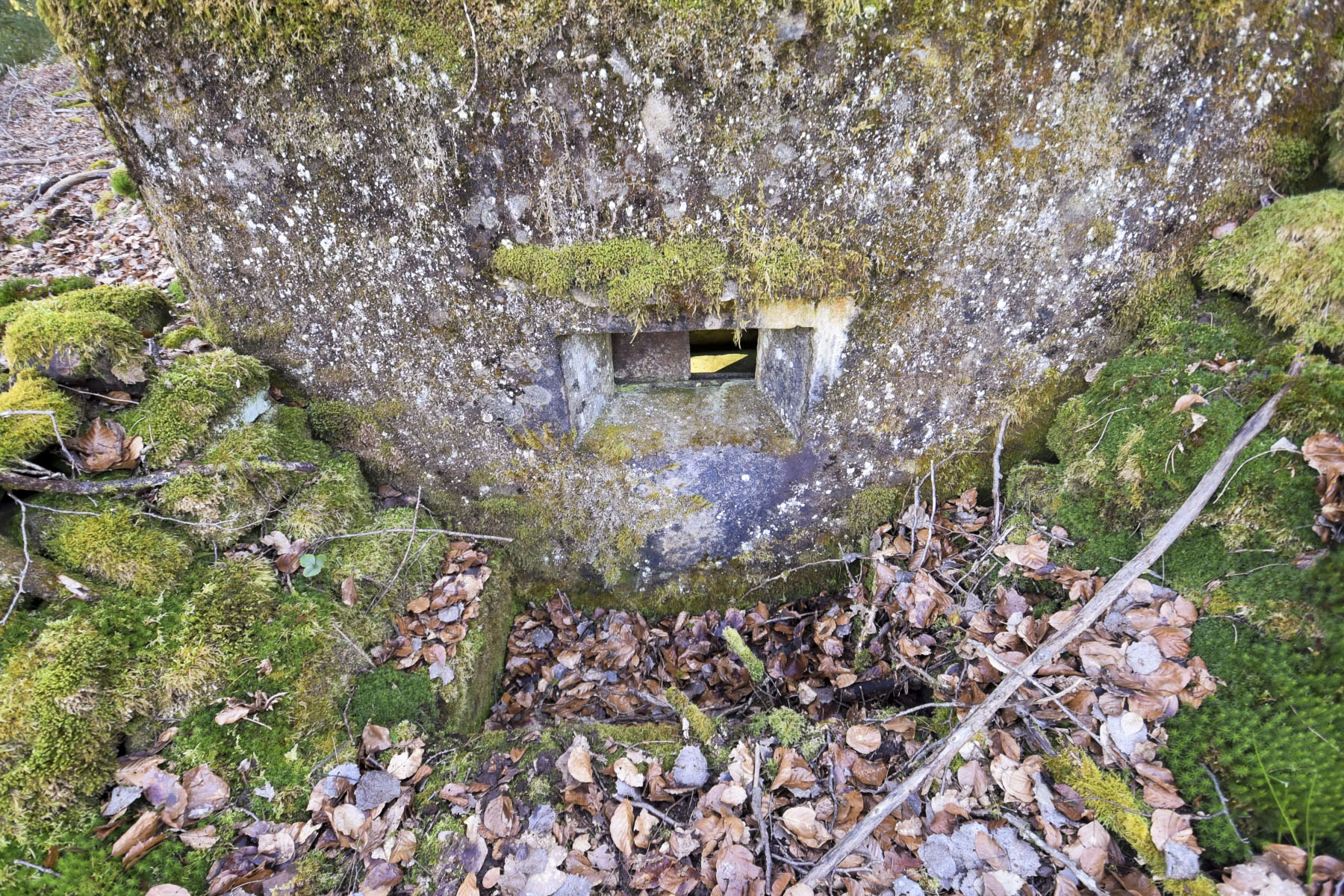 Ligne Maginot - M80 - FINSTERTHAL 4 - (Blockhaus pour arme infanterie) - 