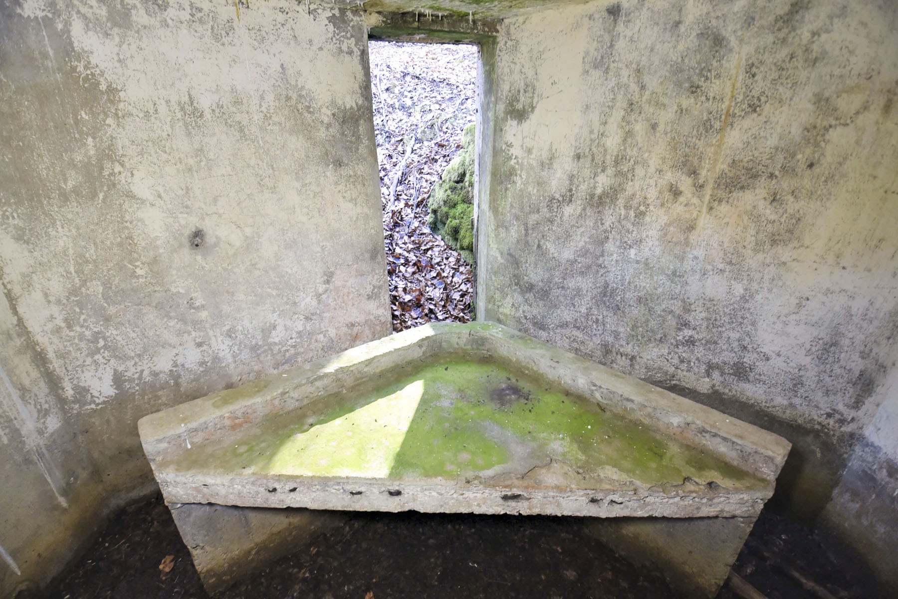 Ligne Maginot - M80 - FINSTERTHAL 4 - (Blockhaus pour arme infanterie) - 