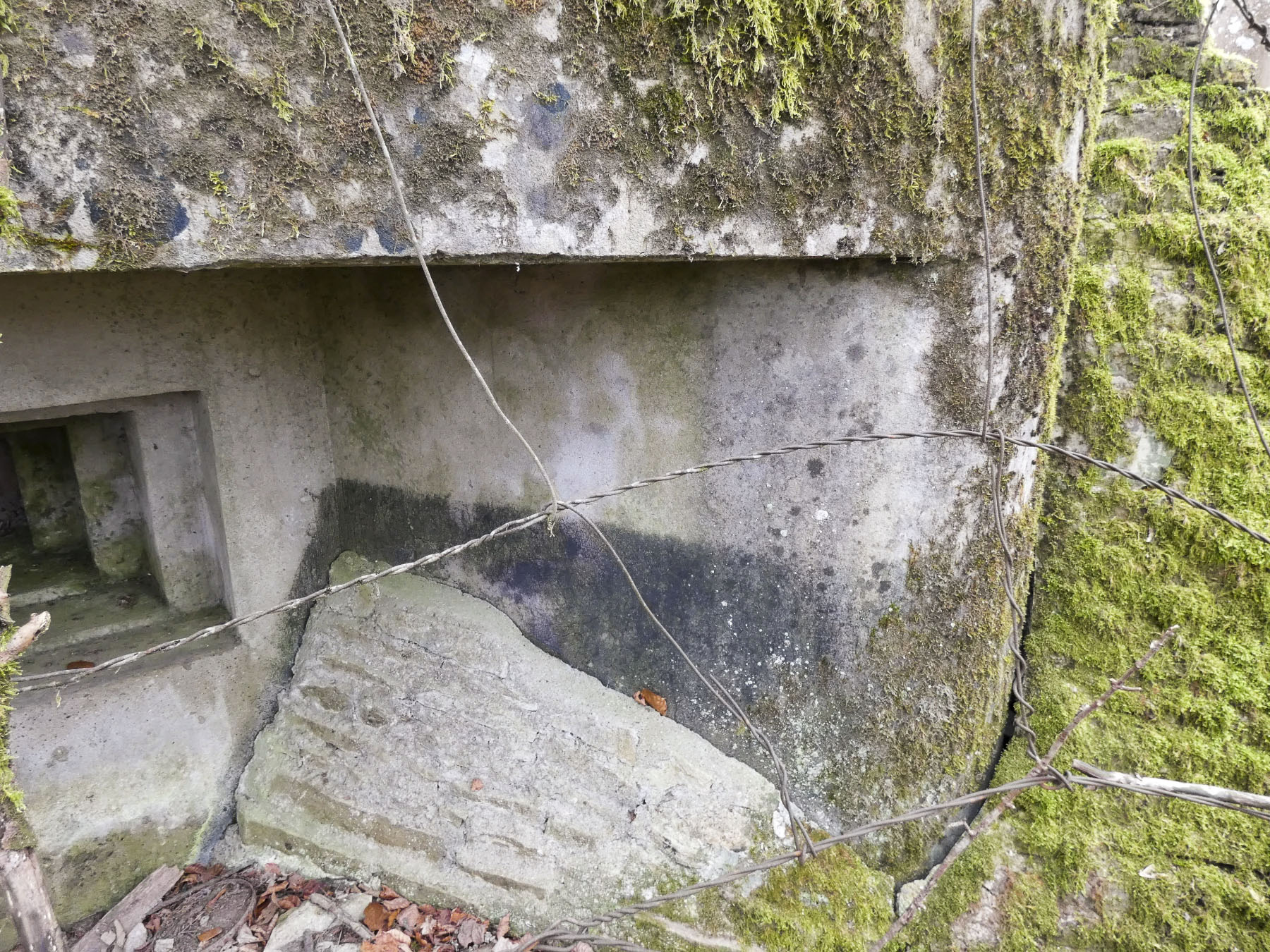 Ligne Maginot - HERBITZHEIM 5 - MA - (Blockhaus pour arme infanterie) - Les restes du camouflage.