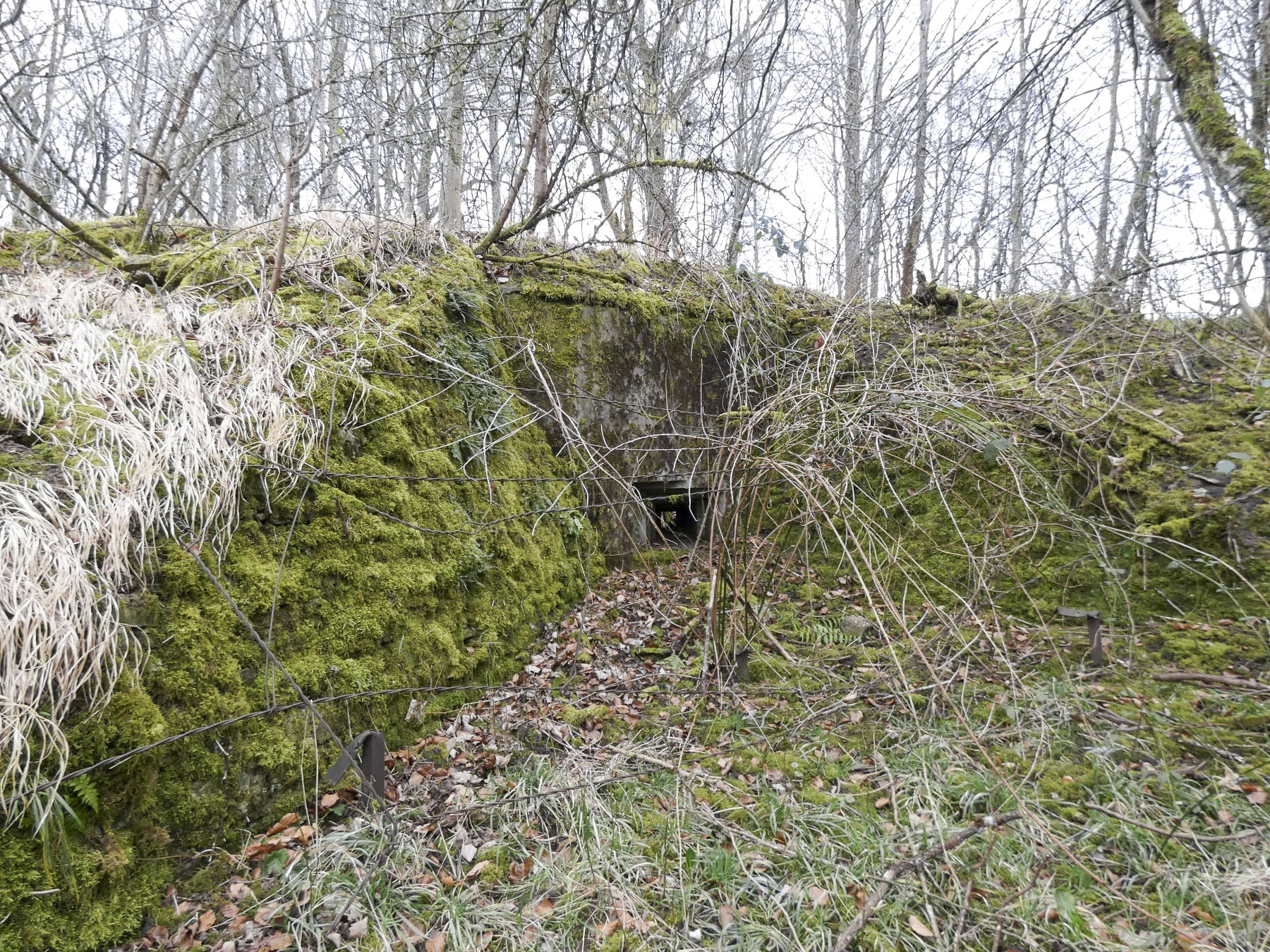 Ligne Maginot - HERBITZHEIM 5 - MA - (Blockhaus pour arme infanterie) - La façade de tir pour le FM.