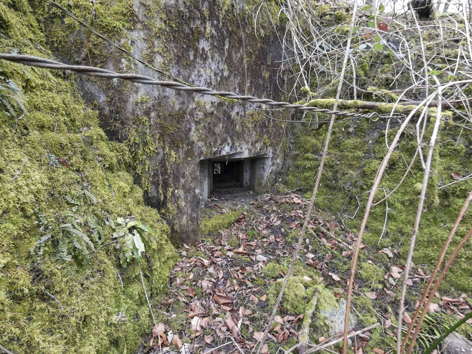 Ligne Maginot - HERBITZHEIM 5 - MA - (Blockhaus pour arme infanterie) - La créneau pour un FM.