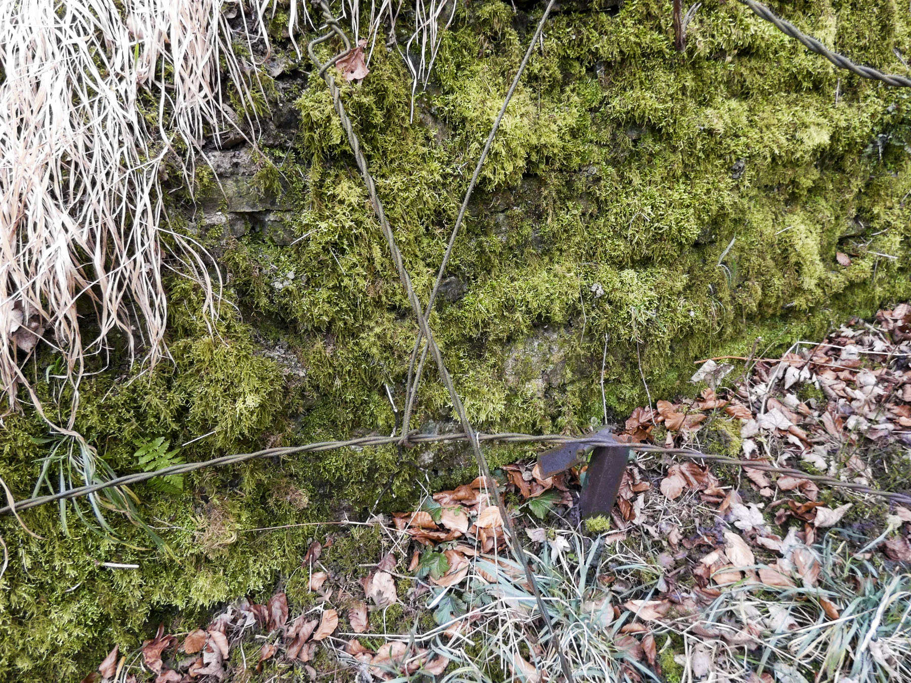 Ligne Maginot - HERBITZHEIM 5 - MA - (Blockhaus pour arme infanterie) - Le support pour un filet de camouflage.