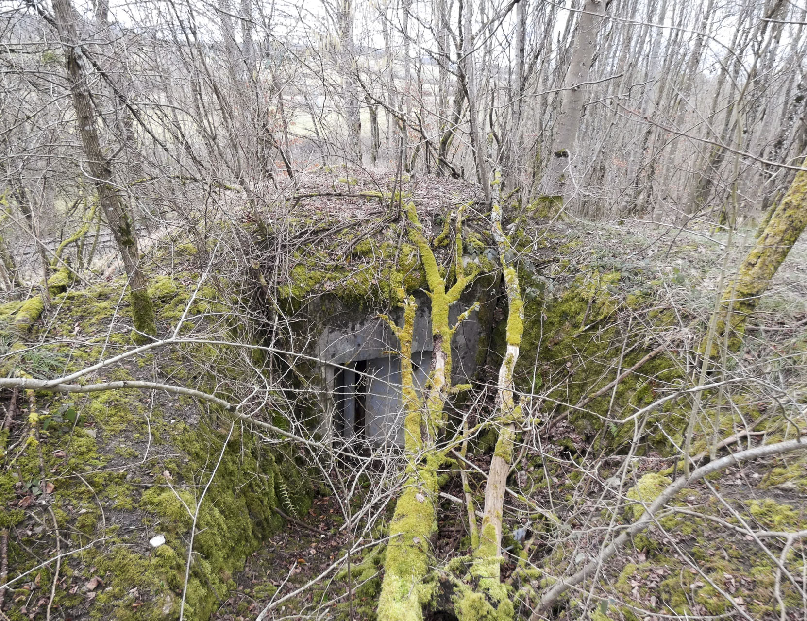 Ligne Maginot - HERBITZHEIM 5 - MA - (Blockhaus pour arme infanterie) - La façade arrière avec l'entrée.