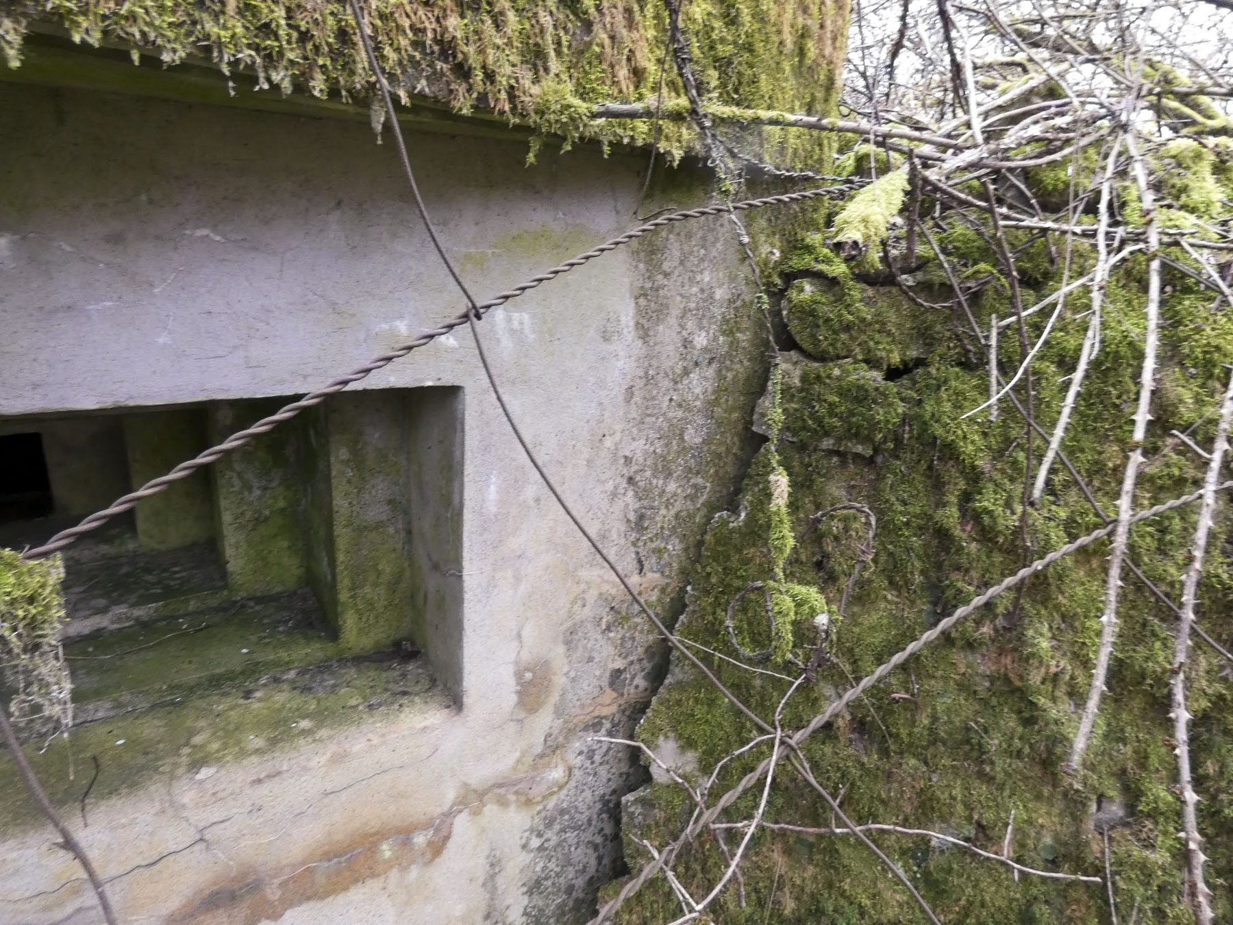 Ligne Maginot - HERBITZHEIM NORD 2 - (Blockhaus pour arme infanterie) - Les restes du grillage supportant un filet de camouflage.