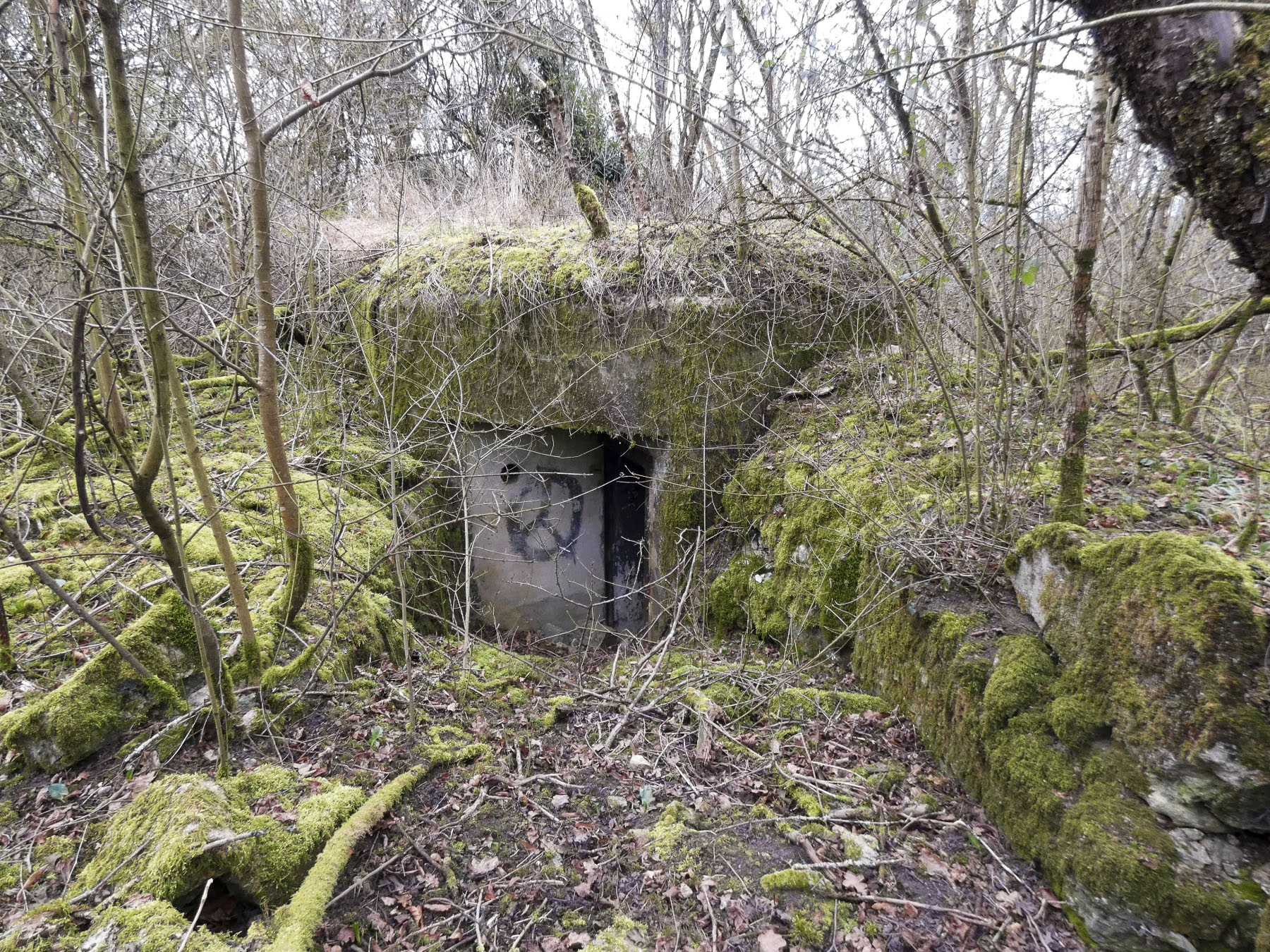 Ligne Maginot - HERBITZHEIM NORD 2 - (Blockhaus pour arme infanterie) - L'arrière du blockhaus.