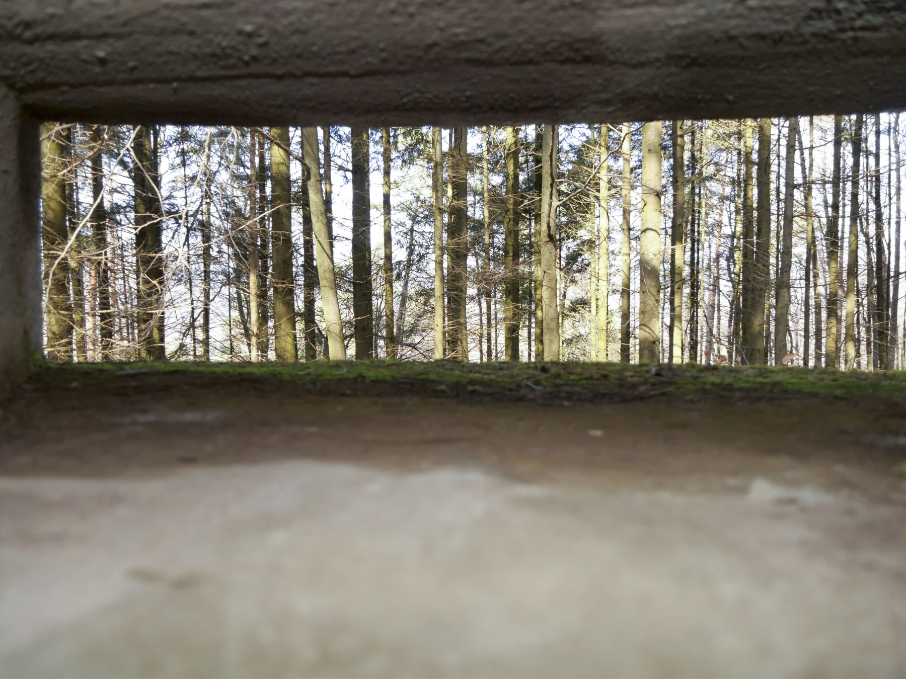 Ligne Maginot - LANGENBERG  BAS - (Observatoire d'artillerie) - La vision a travers les fentes d'observation