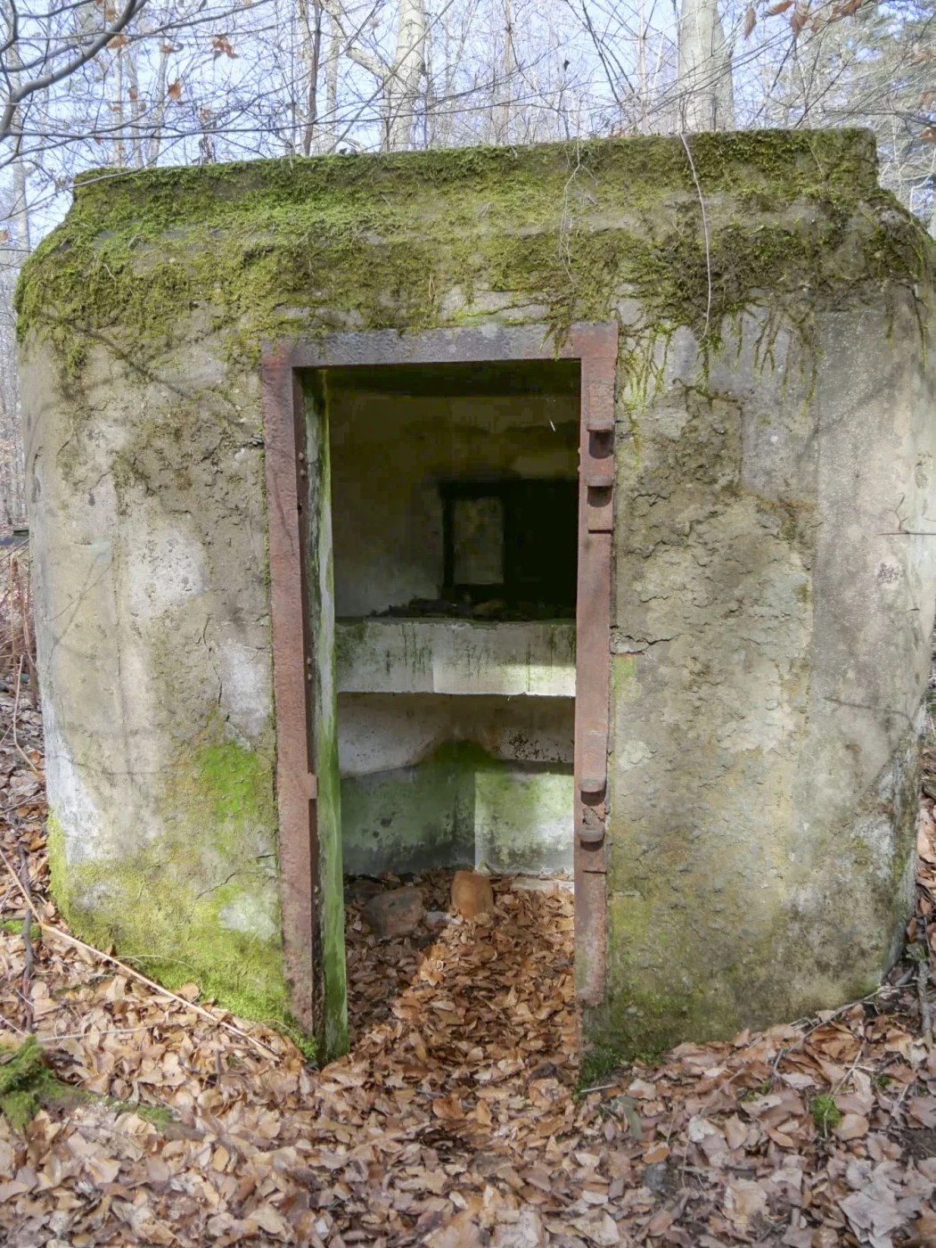 Ligne Maginot - SOULTZERKOPF 2 - (Blockhaus pour arme infanterie) - L'entrée