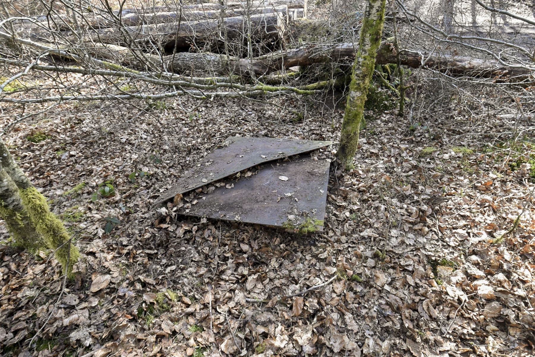 Ligne Maginot - D1 - (Chambre de coupure) - 