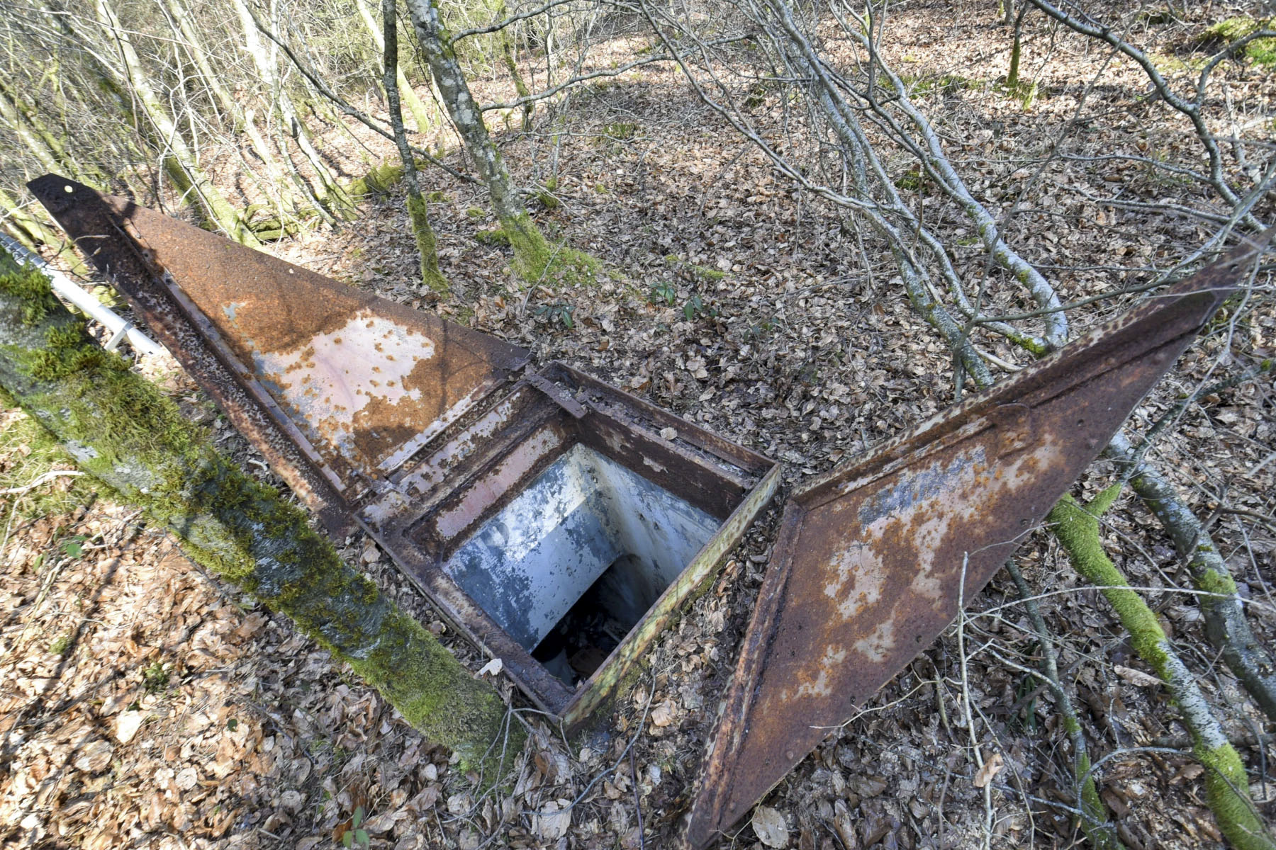 Ligne Maginot - D1 - (Chambre de coupure) - 