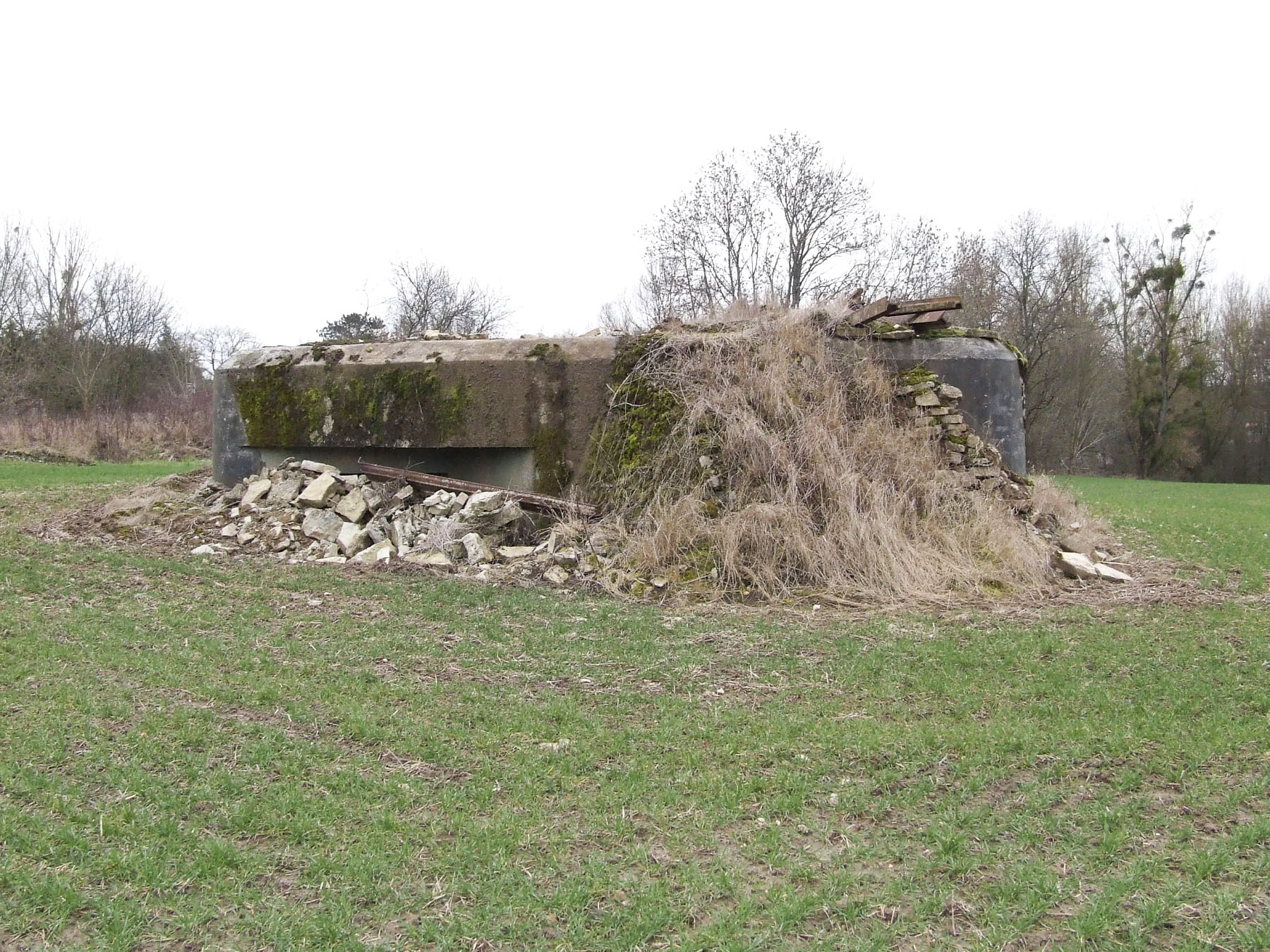 Ligne Maginot - WEIDESHEIM 1 - (Blockhaus pour arme infanterie) - La façade de tir Nord.