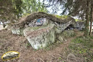 Ligne Maginot - 38/3 - BALTZENHEIM - (Casemate d'infanterie - Double) - L'ampleur des destructions extérieures