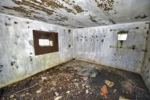 Ligne Maginot - BB9BIS - (Blockhaus pour canon) - Créneau frontal et FM droit