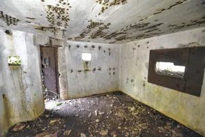 Ligne Maginot - BB9BIS - (Blockhaus pour canon) - Créneau FM gauche et 47mm AC frontal