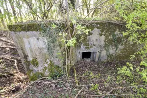 Ligne Maginot - AB359 - BAN SAINT JEAN NORD 2 - (Blockhaus pour arme infanterie) - Le créneau principal