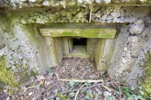 Ligne Maginot - AB359 - BAN SAINT JEAN NORD 2 - (Blockhaus pour arme infanterie) - Créneau avec coffrage
