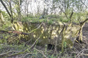 Ligne Maginot - AB359 - BAN SAINT JEAN NORD 2 - (Blockhaus pour arme infanterie) - Face arrière avec entrée