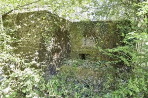 Ligne Maginot - CB304 - BUSCHWIESE 2 - (Blockhaus pour arme infanterie) - 