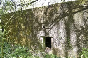 Ligne Maginot - CB304 - BUSCHWIESE 2 - (Blockhaus pour arme infanterie) - 