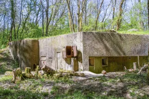 Ligne Maginot - BOIS DE KANFEN EST - C43 - (Casemate d'infanterie - Simple) - 