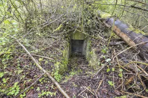 Ligne Maginot - POLDER D'ERSTEIN 2 - (Blockhaus pour arme infanterie) - 