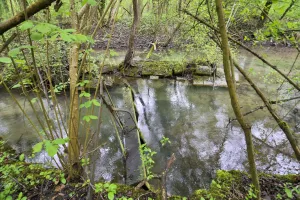Ligne Maginot - SOMMERLEY - (Inondation défensive) - Ecluse