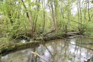 Ligne Maginot - SOMMERLEY - (Inondation défensive) - 
