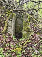 Ligne Maginot - NONNENWALD 11BIS - (Blockhaus de type indéterminé) - 
