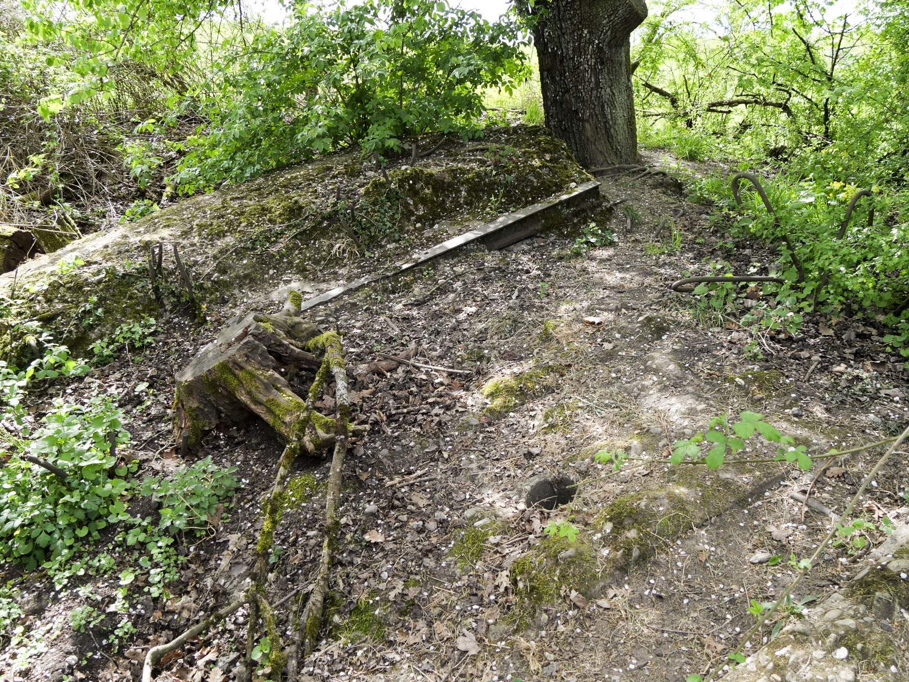 Ligne Maginot - LANGENSOULTZBACH - (Observatoire d'artillerie) - Dalle effondrée