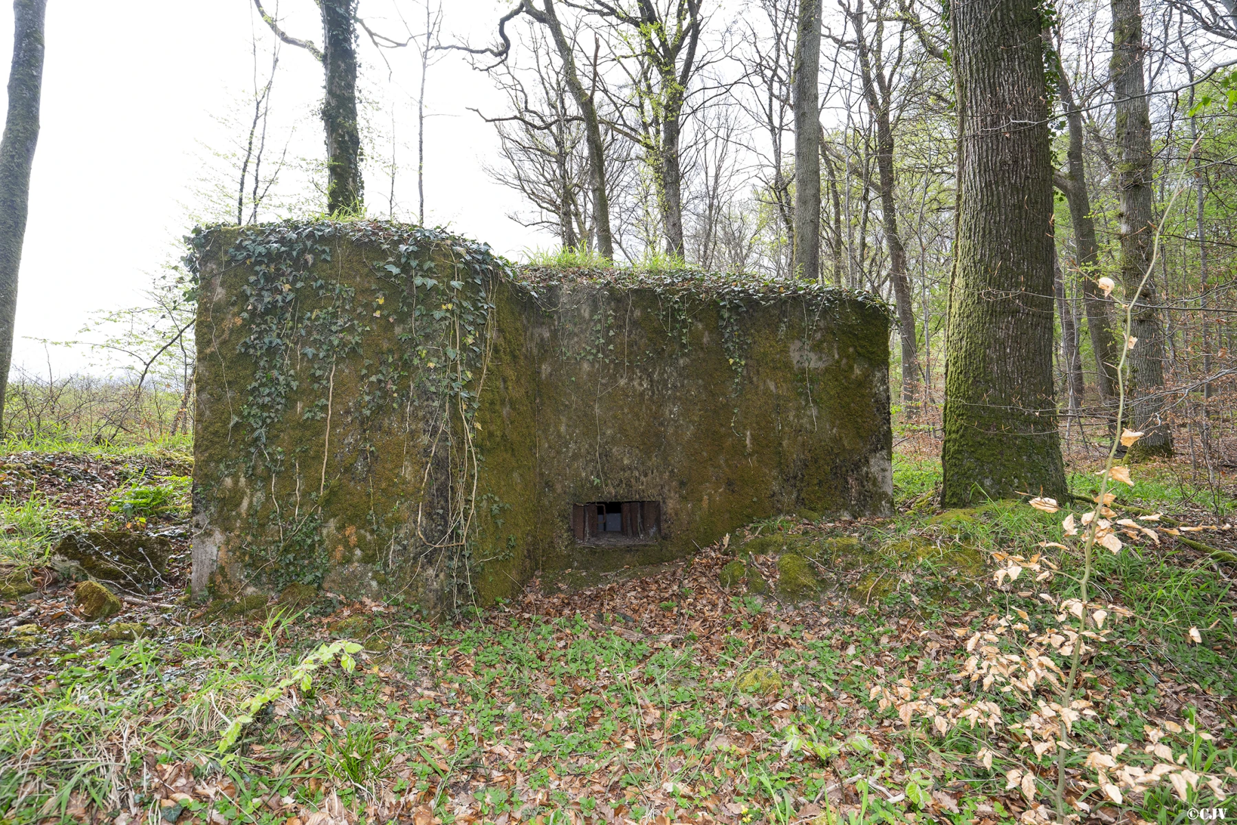 Ligne Maginot - BB354 - (Blockhaus pour arme infanterie) - 